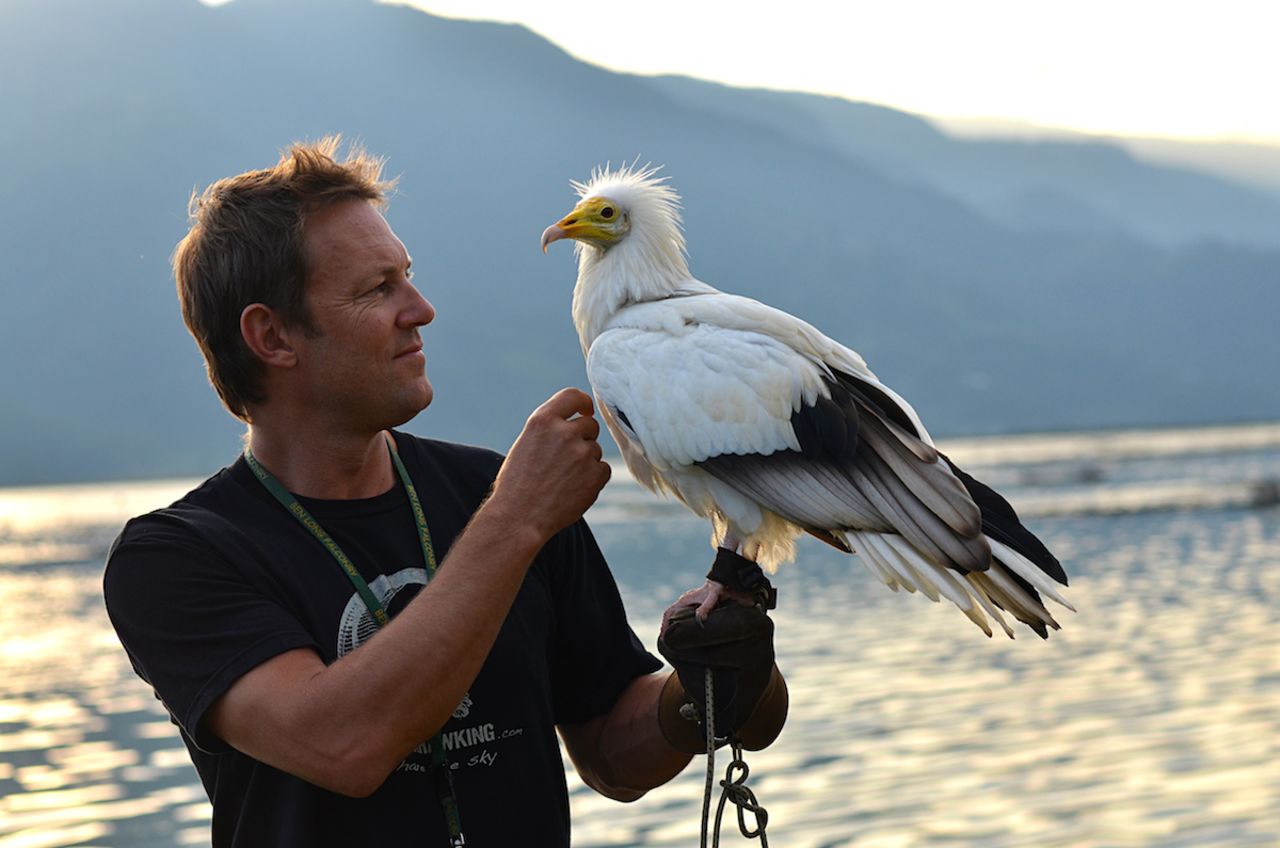 Scott Mason, founder of Nepal's Parahawking Project, uses two Egyptian vultures for flights. 
