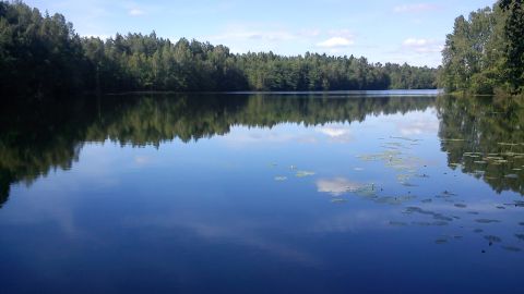 <strong>19. Kaszubia:</strong> The beauty and hospitality of the <a href="http://ireport.cnn.com/docs/DOC-1138802">Kashubian region</a> in northern Poland captivated Magdalena Wlodarska. "Its post-glacial hilly landscape (is) characterized by oblong deep lakes filled with crystalline cold water full of fish and crayfish," she said. The forests are full of blueberries, mushrooms and "the sweetest strawberries in the world."