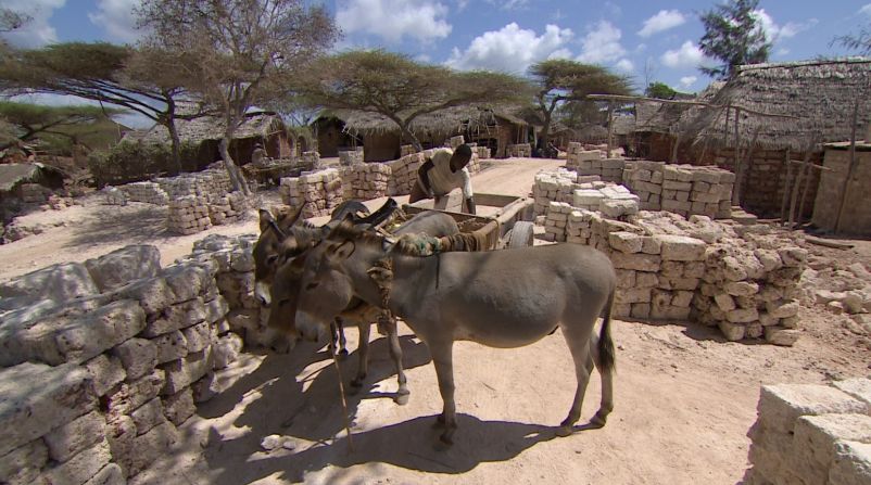 Donkeys also  help transport one of the island's main commodities: coral stone.