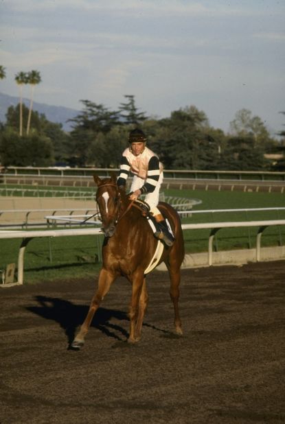 The last horse to achieve the feat was Affirmed, ridden to the trio of victories by Steve Cauthen 36 years ago.