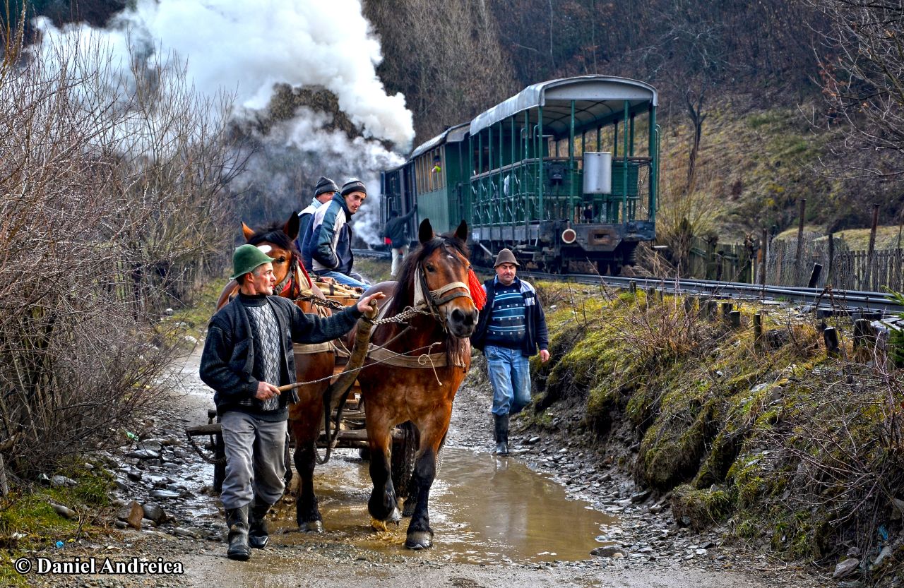 Workers take their horses across the <a href="http://ireport.cnn.com/docs/DOC-1117266">Vasser Valley</a> in Vișeu de Sus, Romania.