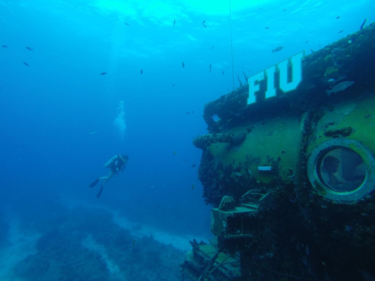 Aquarius, operated by Florida International University, calls itself the world's only underwater marine laboratory.