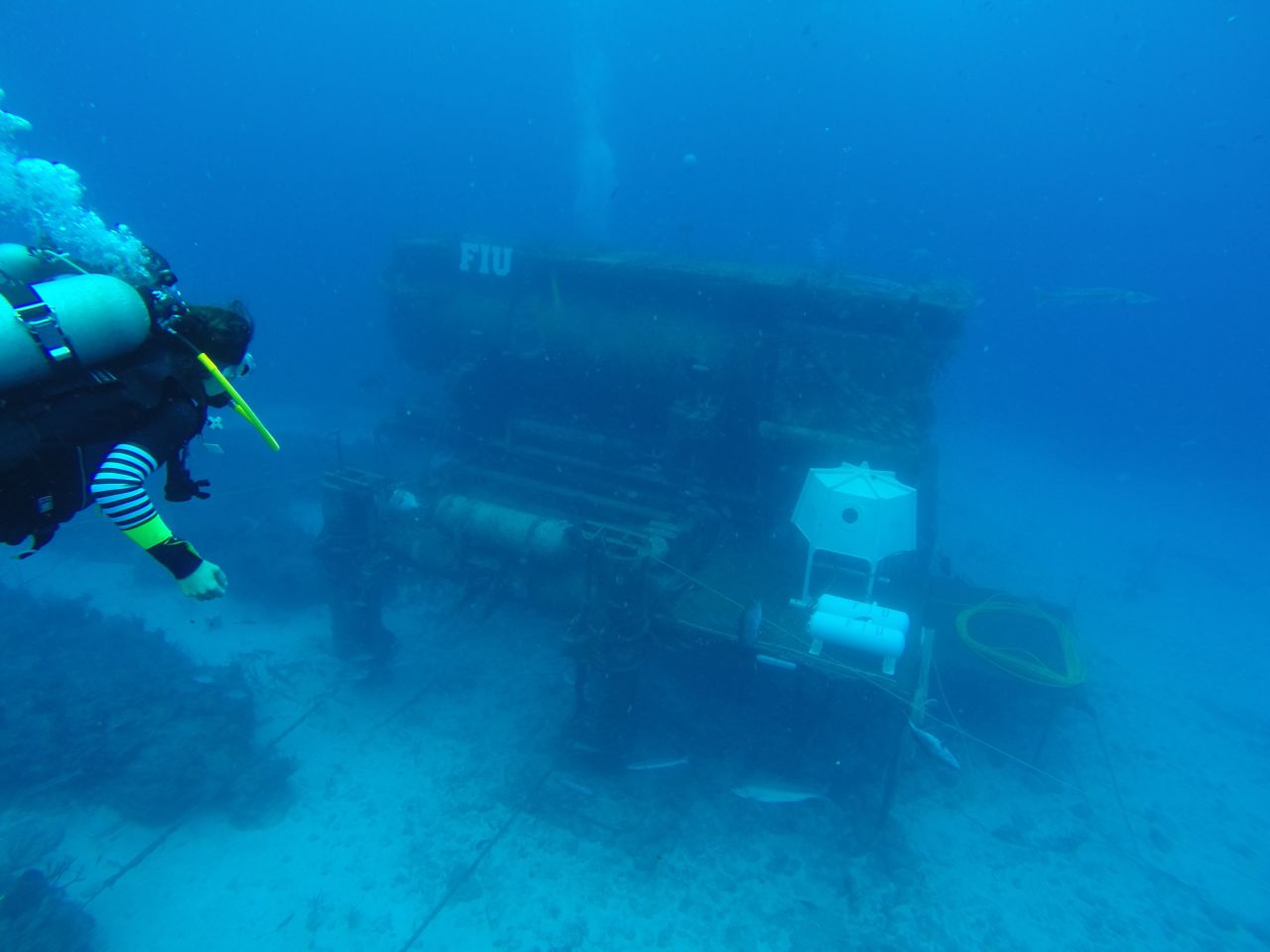 With their Mission 31 project, Fabien Cousteau and a team of researchers are spending what they hope will be 31 straight days in this undersea habitat, 63 feet beneath the ocean surface in the Florida Keys.