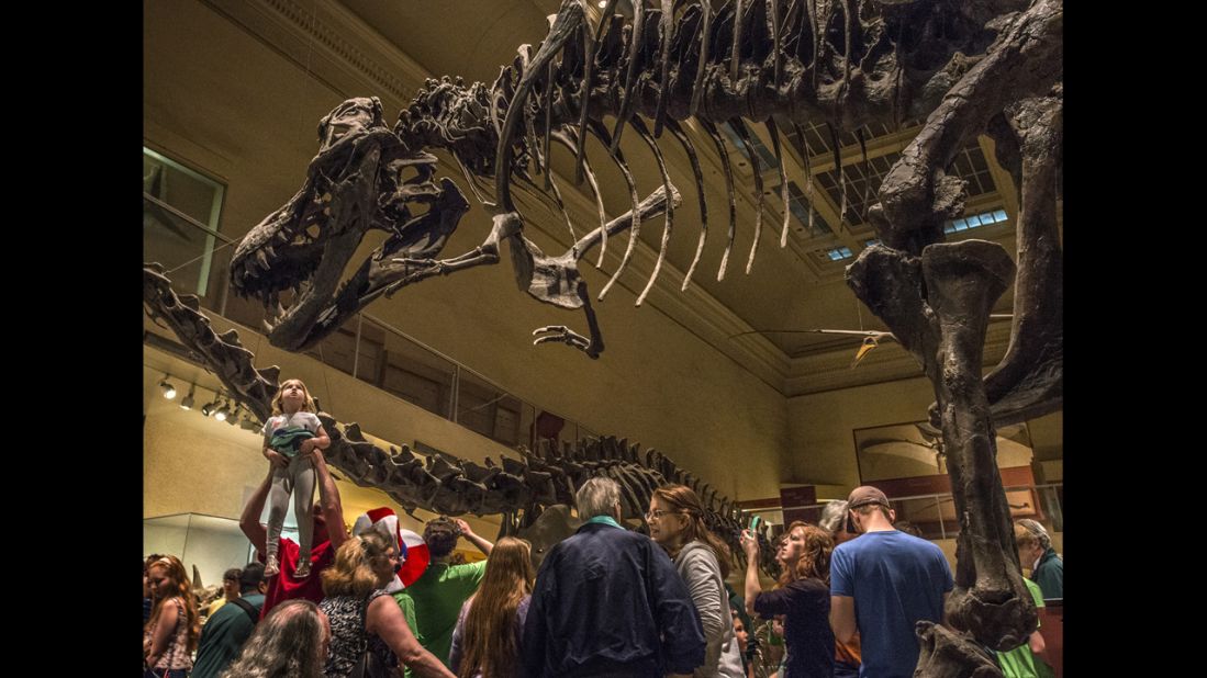 The Smithsonian National Museum of Natural History in Washington tied for third most-visited, with 6.9 million visitors. 