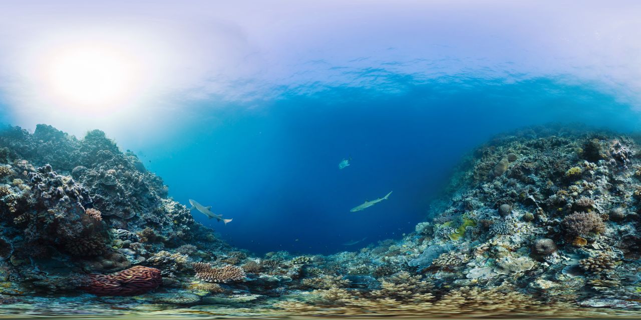 The Catlin Seaview Survey used a 360-degree SVII-S panoramic camera to take these stunning underwater pictures of the Tubbataha Reefs National Park in the Philippines. The group is releasing them to mark "Coral Triangle Day" on June 9.