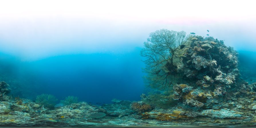 The Coral Triangle stretches from the Philippines to Indonesia, Malaysia, Papua New Guinea, the Solomon Islands and Timor-Leste.