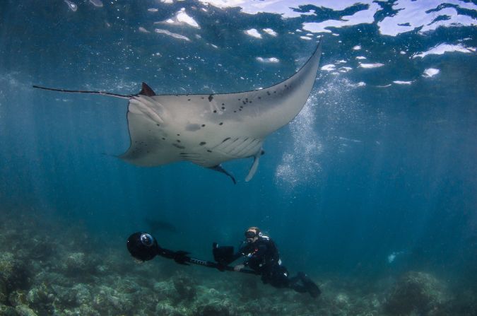 The panoramic photos from Tubbataha, the Philippines will be published on Google Street View Maps. The images are captured using the SVII 360-degree panoramic camera, every two seconds as it moves along the reef.