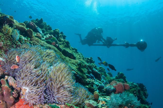 The Catlin Seaview Survey team is taking surveys of the Coral Triangle throughout 2014 to create a baseline study of reefs. It's hoped the images will help local reef management.