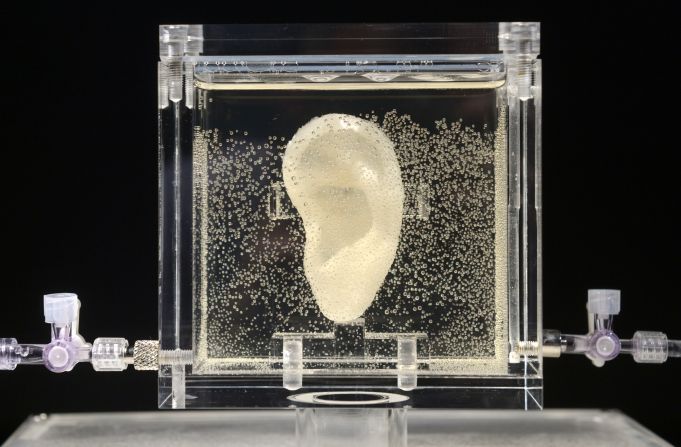 The artist used a piece of an ear donated by Lieuwe van Gogh -- the great-great-grandson of Vincent van Gogh's brother -- to create the ear. 