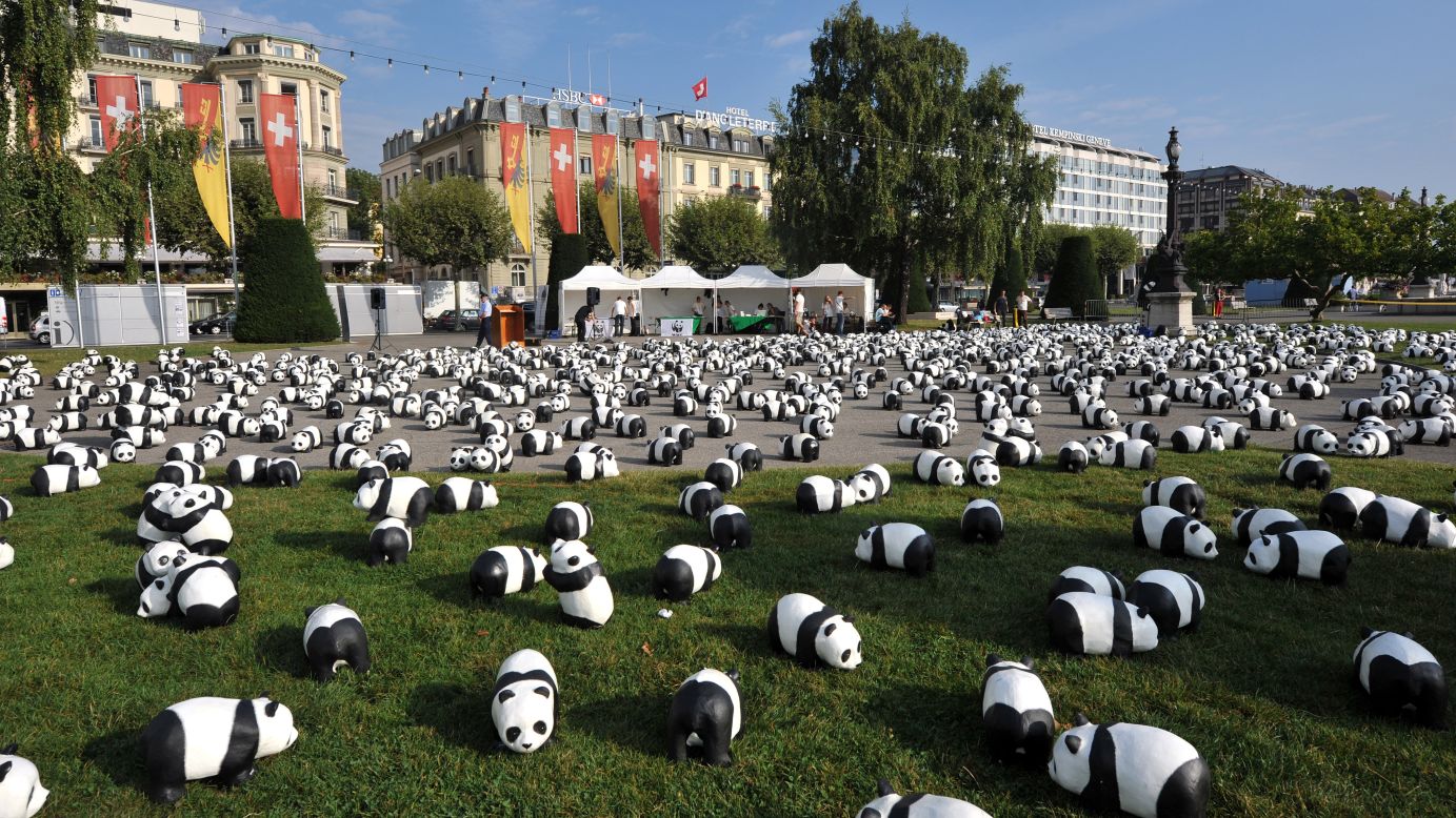 The pandas fill a square near Lake Geneva in September 2011 to celebrate the 50th anniversary of the World Wildlife Fund. A panda appears on the conservation organization's logo.