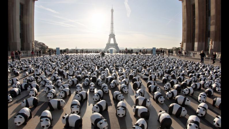 The papier-mâché pandas gather en masse near the Eiffel Tower in Paris in October 2008.