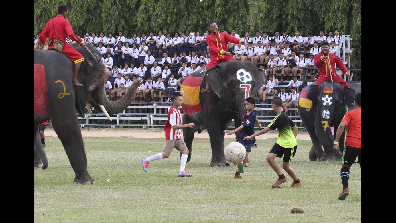 Elephant Polo In Thailand 2023 2024 3
