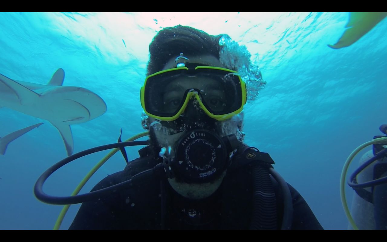 During a dive at Stuart Cove in Nassau, Bahamas, <a href="http://ireport.cnn.com/docs/DOC-1065740">Konstantinos Kohilas</a> gets photo bombed during an underwater selfie by a shark. 