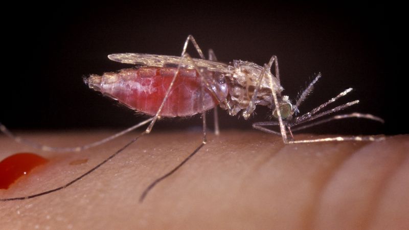 Африкански учен може да унищожи маларията чрез редактиране на ДНК на комари