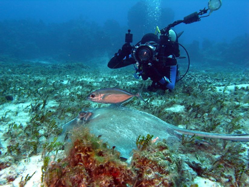 Diver Adam Puche takes a photo of a <a href="http://ireport.cnn.com/docs/DOC-759851">southern stingray</a> with his diving mate in the background in Cozumel, Mexico.