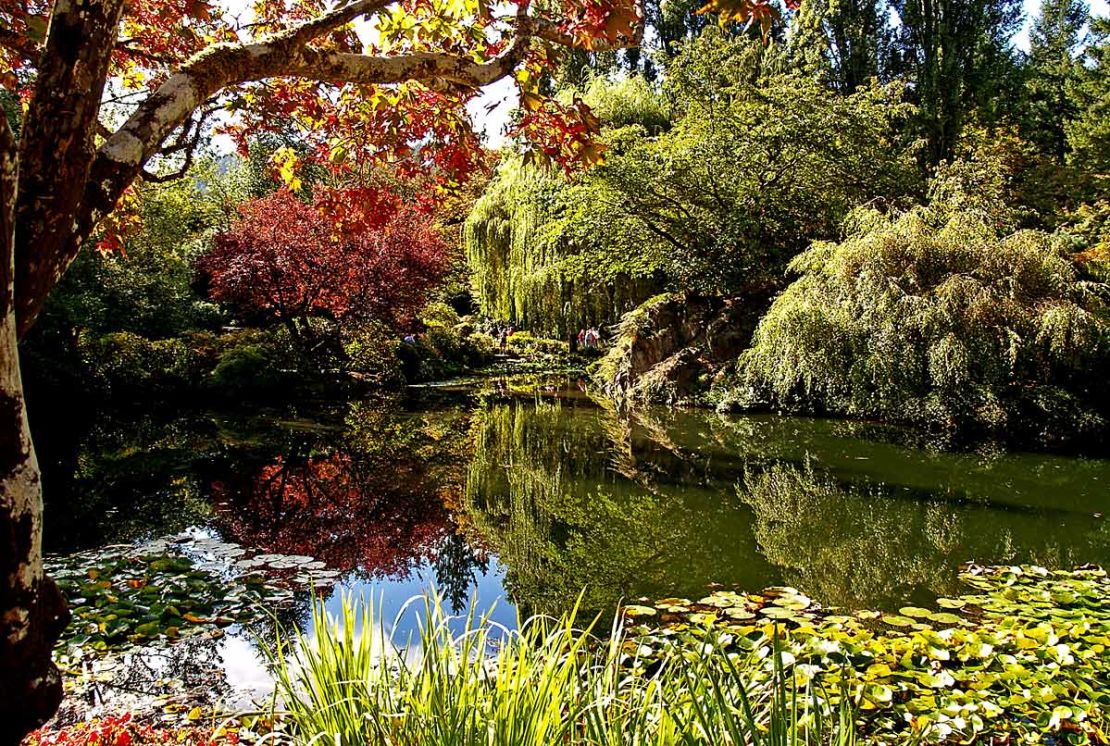 It's hard to believe, but the site of Canada's Butchart Gardens was once a limestone quarry.