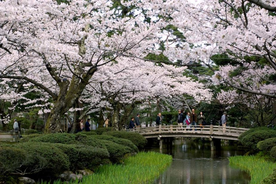 Cherry blossoms, bridges and streams are hallmarks of Kenrokuen in Kanazawa, Japan.