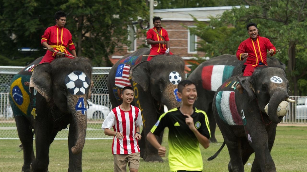 Elephants in Thailand's Ayutthaya province take part in a match with students in honor of the upcoming World Cup. 