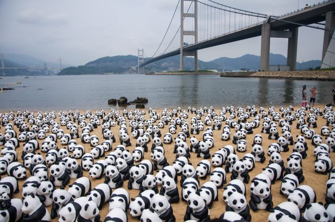 Beaches in Hong Kong can get pretty crowded! For the latest leg of their year-long world tour, 1,600 papier-mache pandas created by French artist Paulo Grangeon are invading Hong Kong in June, causing a near meltdown on social media. Grangeon created the panda project in 2008 in collaboration with the World Wide Fund for Nature to raise awareness of the endangered creatures. The sculptures represent the estimated 1,600 pandas that remain in the wild. 
