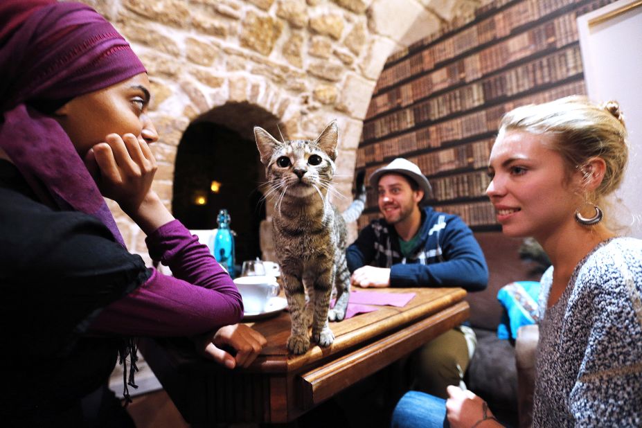 <strong>Le Cafe des Chats: </strong>Paris' first cat cafe opened in 2013. 