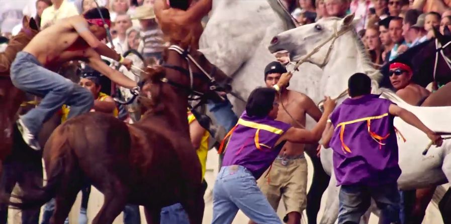 To the untrained eye, it can look like sheer unmitigated chaos as changeovers of horses take place every lap during a three-lap race.