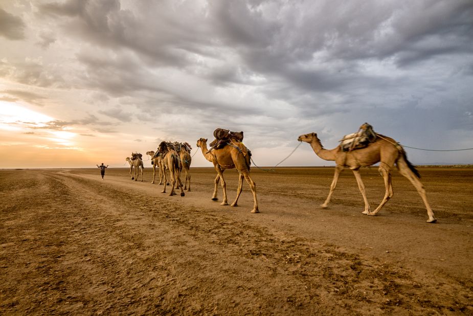 A salt worker and his camels cross the Danakil Depression in Northern Ethiopia. The landscape is one of harshest on earth, with wastelands of salt and sweltering temperatures that remain well over 100 degrees Fahrenheit. 