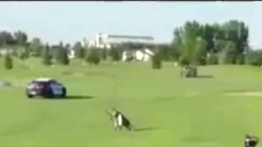 pkg golf course police chase_00002109.jpg