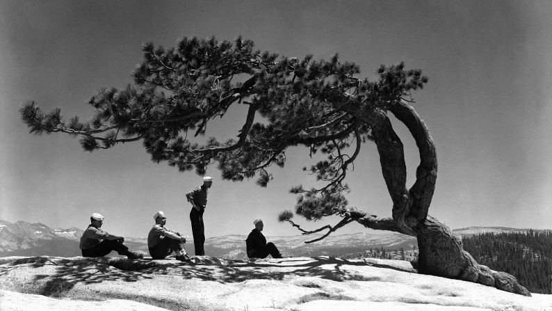 Sailors gather near a tree on the park's Sentinel Dome on July 24, 1944. The Navy took over the<a href="index.php?page=&url=http%3A%2F%2Fwww.nps.gov%2Fyose%2Fhistoryculture%2Fnavy-hospital.htm" target="_blank" target="_blank"> Ahwahnee Hotel </a>during World War II and used it as a convalescent hospital.