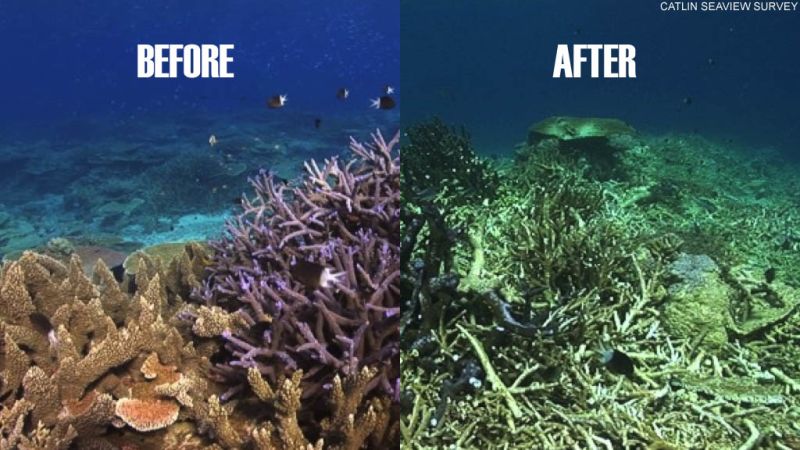 Australia Given Another Year To Act On Great Barrier Reef CNN   140619115135 Great Barrier Reef Split Image 