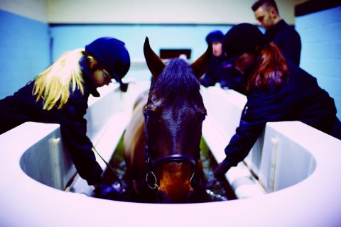 Nearby Hartpury College, a center of equestrian education, says its treadmill helps to "repair and strengthen muscles" in horses.
