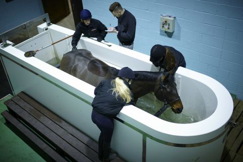 More than 600 students study at Hartpury. Here, they can learn how water resistance helps horses to recover and maintain their fitness.