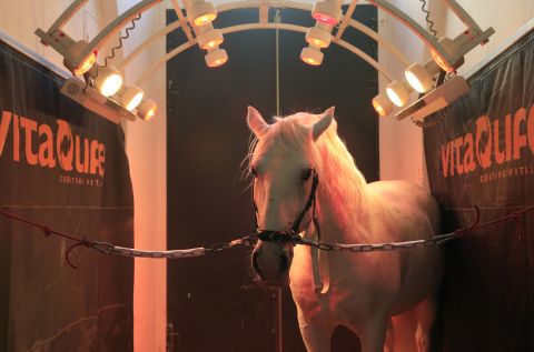 This solarium is at the Spanish Riding School in Vienna, Austria. Many more complex variants are available, incorporating air-drying facilities and even soothing light shows for the horse.