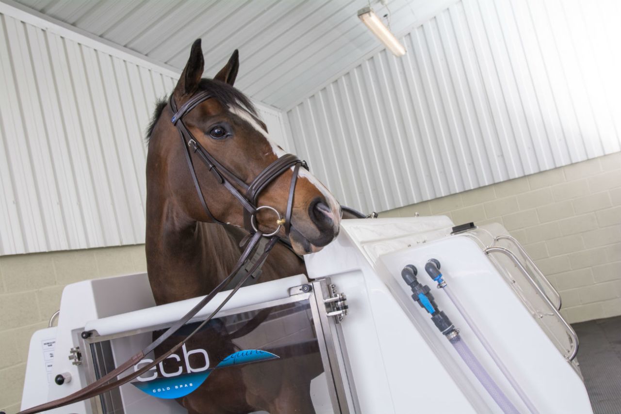 These facilities are part of Warwickshire College's equine therapy center. If your horse doesn't take to the treadmill, there is also an "equine hydrotherapy spa" available.