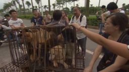 cnn dnt coren China dog meat festival_00004612.jpg