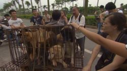 cnn dnt coren China dog meat festival_00004612.jpg