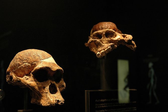 Maropeng is the official visitor center of the Cradle of Humankind, a UNESCO World Heritage Site and reportedly where our human ancestors settled 3 million years ago. The center includes fossils found near the Sterkfontein Caves.