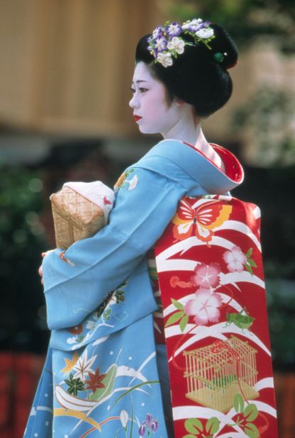 The maiko's obi (kimono's belt) is long and drops almost to the floor (pictured), while the geisha's belt is folded into a square shape on her back.