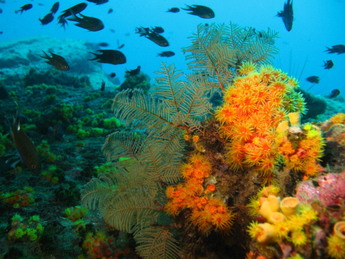 Koh Tang offers clear coastal waters with undisturbed marine life.