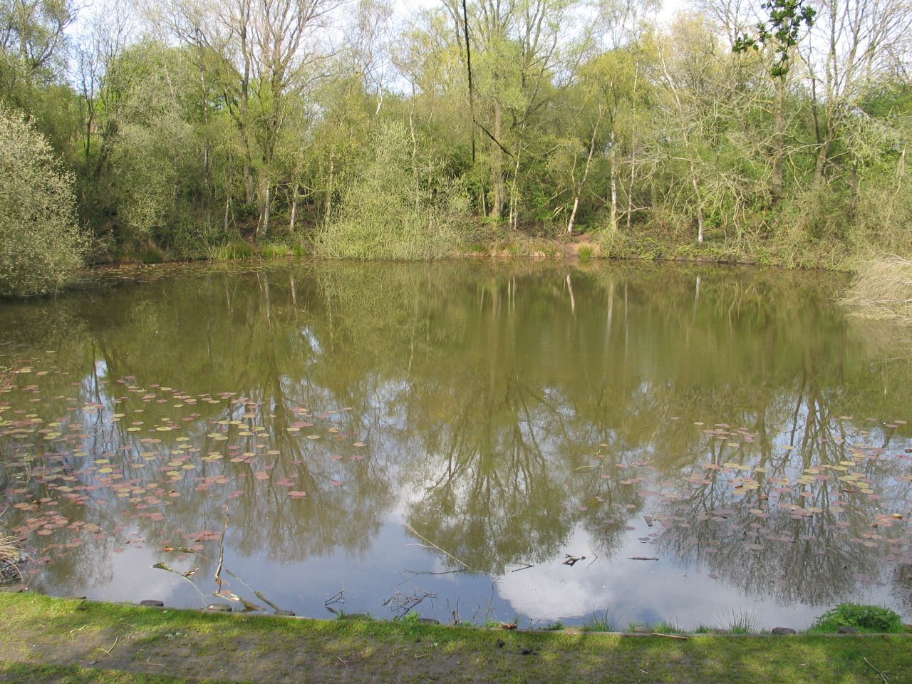 This pretty pond surrounded by trees is just one of a number of craters created after a series of huge explosions under German lines in June 1917.