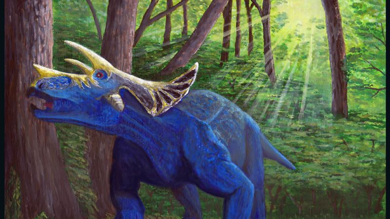 Study: Triceratops took a million years to develop horn | CNN