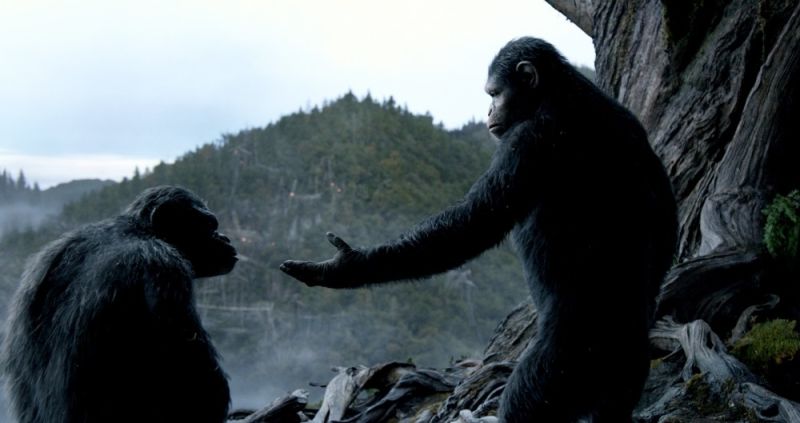 Dawn of the Planet of the Apes' gets strong early buzz | CNN