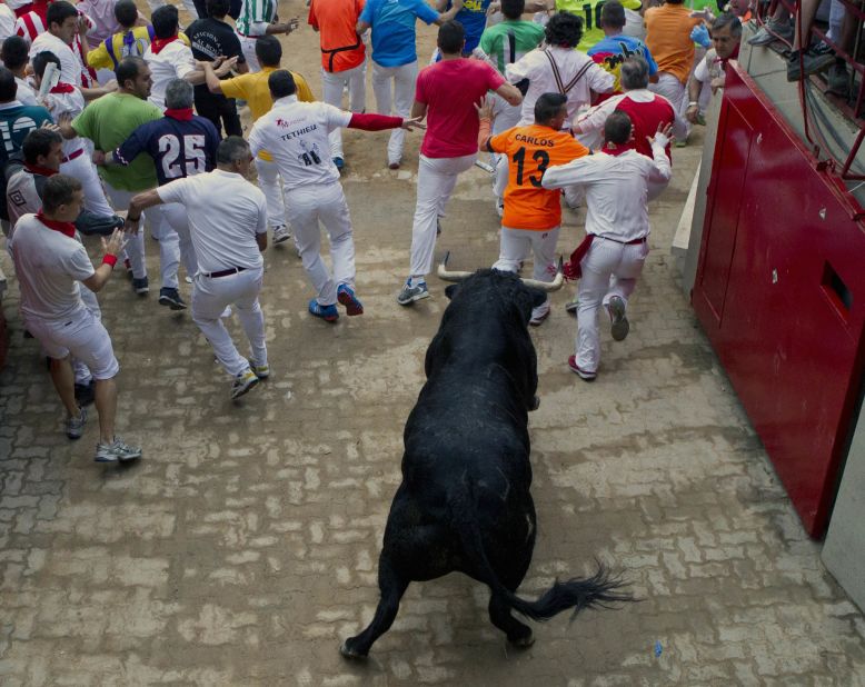 Runners enter the bullring in Pamplona ahead of a lone fighting bull in the eight-day Fiesta de San Fermin on July 12, 2013.