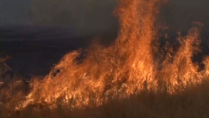 dnt california napa butts fire growing_00001504.jpg