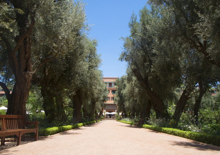 The five-star Mamounia Palace hotel has been a Marrakech institution for the best part of a century, receiving famous guests such as Winston Churchill and Charlie Chaplin.