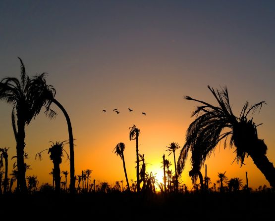 With its regular clear skies and sunshine, Marrakech constantly rewards photographers with beautiful light that shifts through the day. The Palmeraie Circuit north of the city is a great place to capture palm tree silhouettes.