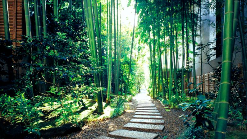 Enclosed by a rustling bamboo forest, this tranquil path connects the Kamiyacho subway station to Tokyo's Hotel Okura.