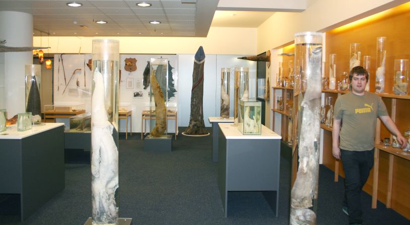 The Icelandic Phallological Museum has 283 mammalian phalluses on display, including a 5.5-foot long whale penis.