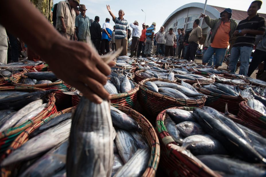 An estimated 250 million people in developing countries directly depend on small-scale fisheries for food and income. In this photograph fish are sold at market in Banda Aceh.