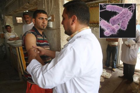 <strong>Typhoid Fever</strong> (insert: <em>Salmonella typhi</em>)<br /><br />Immunization remains the weapon of choice in controlling typhoid fever. The disease still affects 21.5 million people in developing nations, and increased global travel means the disease is not limited to those countries. The United States sees over 5,000 people infected each year after consuming contaminated food and drink abroad. <br /><br />The bacterium behind the disease, Salmonella typhi, can be killed with various antibiotics, but resistance is now arising to multiple antibiotics and complicating treatment, especially in South Asia, a popular holiday destination.