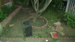 dnt ny man finds arm in yard_00002624.jpg
